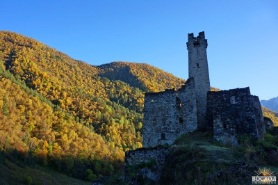 tsori_13